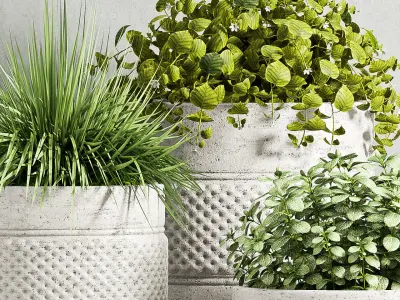 Decorative plant set-61 3D model