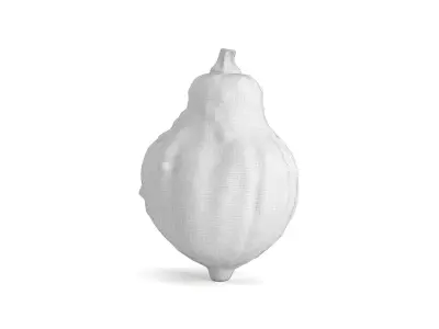 Decorative Pumpkin Gourd 4 3D model