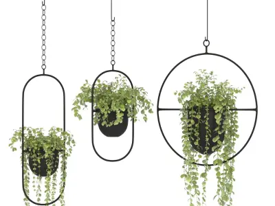 Metal Hanging Plants 01 3D model