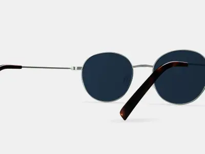 Merrick Sunglasses in Polished Silver 3D model