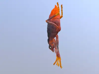 BEETLE Bug Teleport Fbx Png 3D model