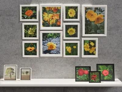 Wall Photo Frame Set with Nature Photography 3D model