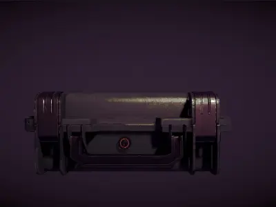 3D Weapon Case Model With Textures - Rigged - Detail Low-poly 3D model