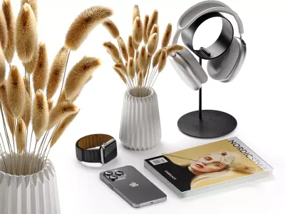 Apple Airpod Iwatch Iphone With Dry Plant Decorative Set 3D model