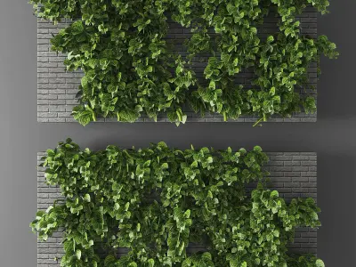 Collection of Vertical garden - 20