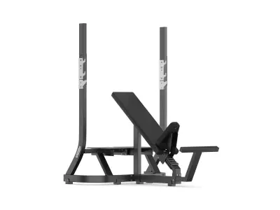 Technogym Pure Olympic Incline Bench 3D model