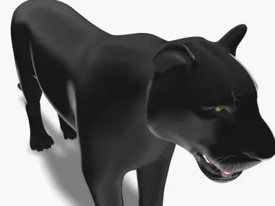 Feline Panther - 3d model 3D model