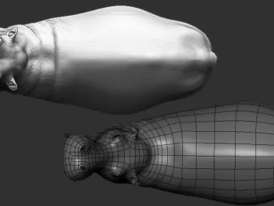 Hippopotamus  Sculpt 3D model