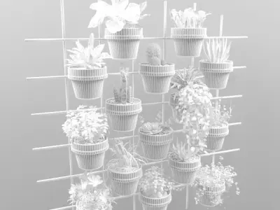 Cactus decor 3D model