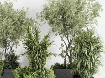 metal box plants on stand - set indoor plant 425 Low-poly 3D model