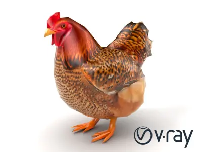 Speckled Chicken 3D Model Pack Low-poly 3D model