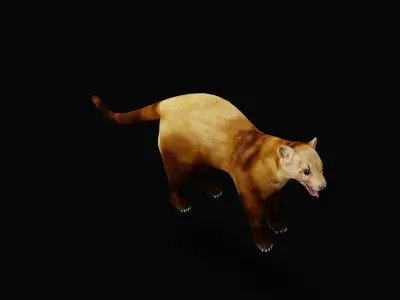 American Pine Marten Low-poly 3D model