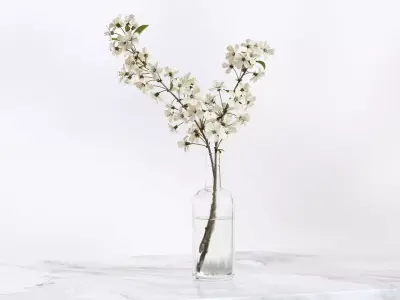 Twig with white flowers in a glass vase 3D model
