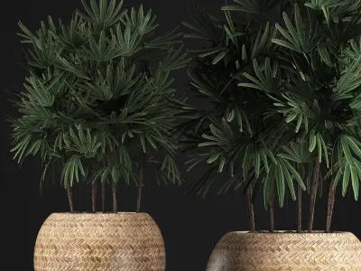 Decorative palm tree in a pot 416 3D model