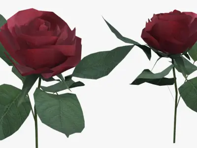 Red Rose  Low-poly textured 3d model for games Low-poly 3D model