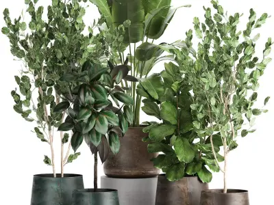 Houseplants in a flowerpot for the interior 942 3D model