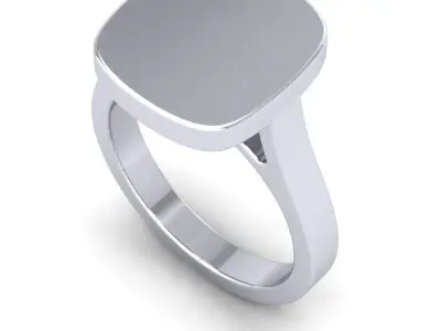 Ali-790-Ring Free 3D print model