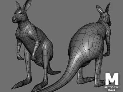 Kangaroo Male BaseMesh Low-poly 3D model
