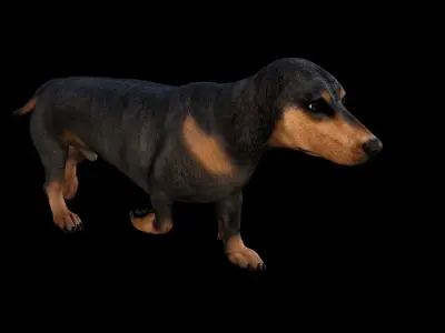 5 stand alone obj-10 3D model