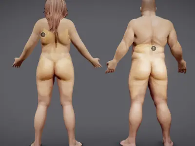 Male Vs Female Fat Distribution Low-poly 3D model