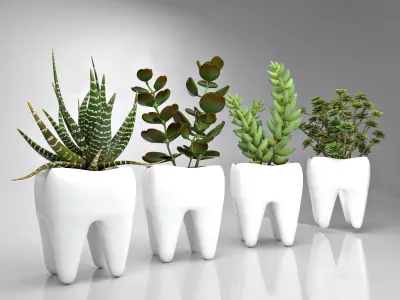 Tooth  Pot - Succulent Plant  3D model