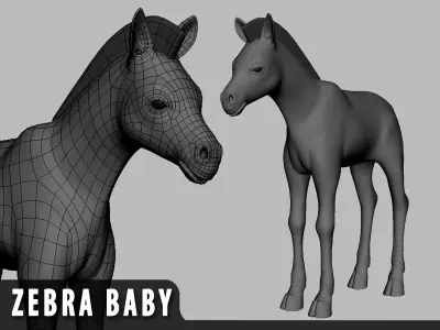 Baby Zebra Low-poly 3D model