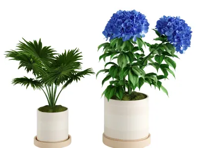 Sketchbook Ceramic Intdoor Planters 3D model