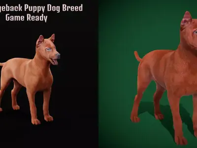 Thai Ridgeback Puppy Dog Breed 3D model