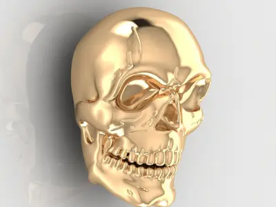 Skull 2 3D print model