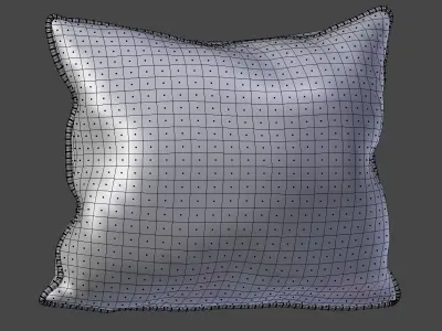 Voyage Cushion - Peony Red -Piped Pillow 3D model