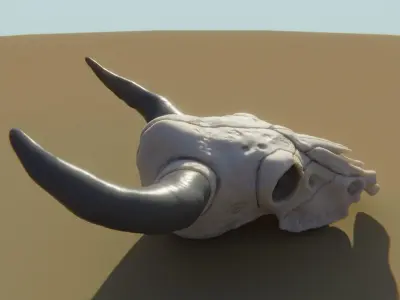 Cow Skull 3D model