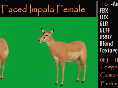 Black Faced Female Impala Low-poly 3D model