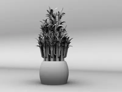 Lucky Bamboo Plant Low-poly 3D model