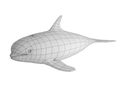 Whale Base Mesh Low-poly 3D model