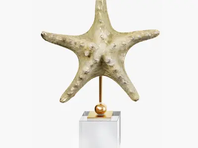 Sea shell decorative set 03 3D model