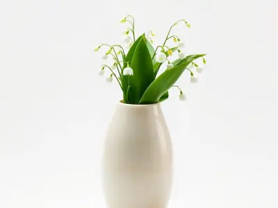 Elegant Lily of the Valley Vase Model Pack Low-poly 3D model