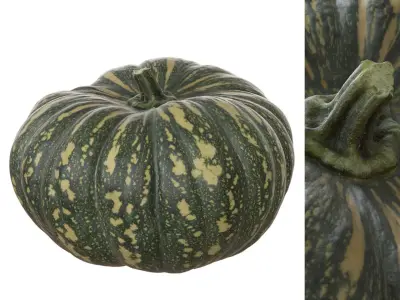 Photoscanned Kent Pumpkin Low-poly 3D model