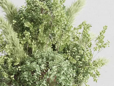 pampas flowers plant in a bouquet glass vase 58 3D model