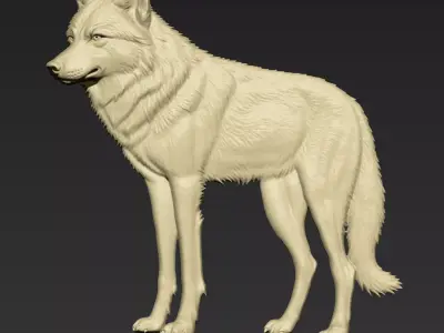Wolf A105 3D print model