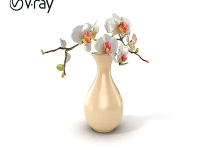 Elegant Orchid Vase model pack Low-poly 3D model