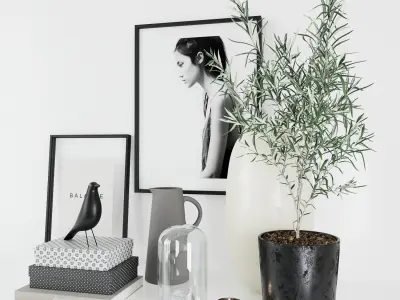 Set with olive tree 3D model