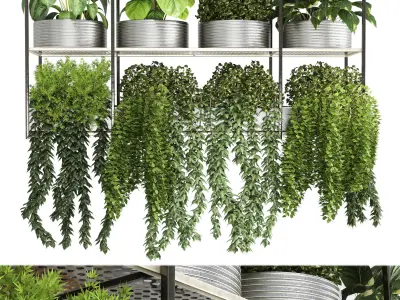 collection Indoor plants hanging pot-metal bax vase 04 Low-poly 3D model