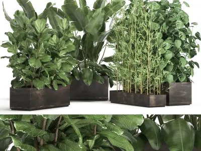 Exotic plants in a rusty flowerpot for the interior 993 3D model