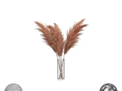 pampas grass 3D model purchase