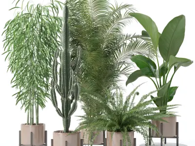 20 Photorealistic Flowers for Interiors - set 121 127 132 137 3D Model Collection