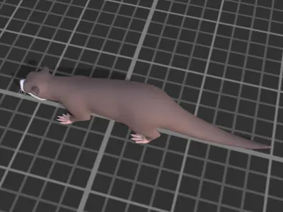 Cartoon Otter Low-poly 3D model