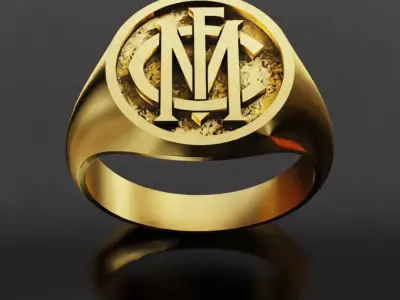 Melbourne Australia Football Fans 3D print model 3D print model