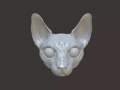 Cat Sphynx Head  3D model