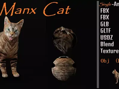 Manx Cat Low-poly 3D model