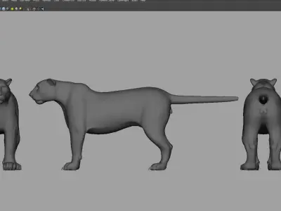 tiger3d model panther 3D model
